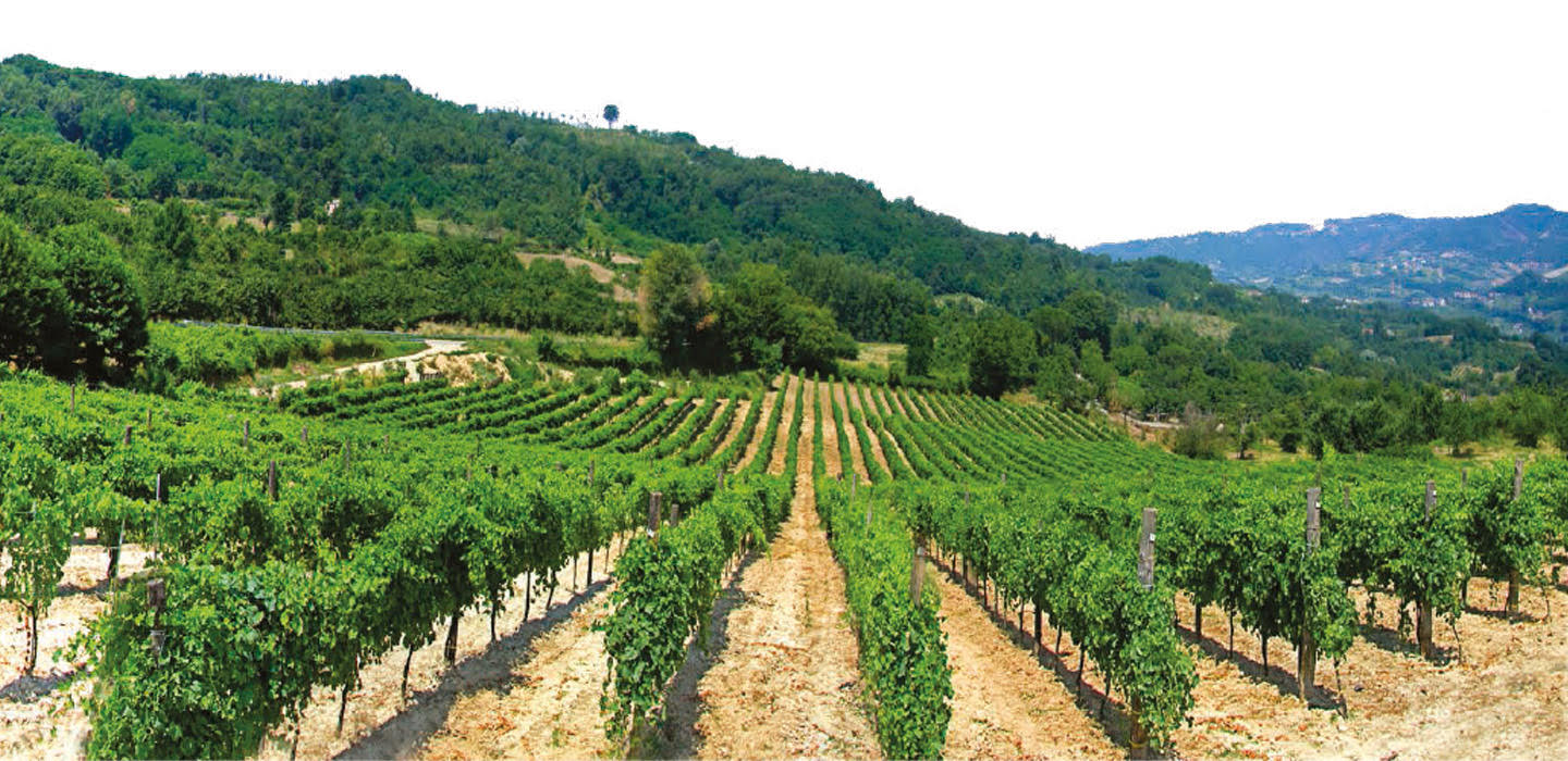 Enoteca-in-provincia-di-avellino